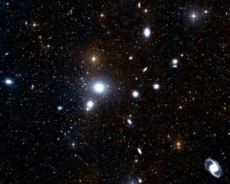 The Fornax Cluster