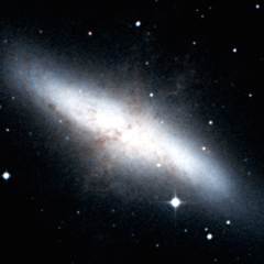 M82