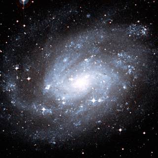 NGC 300