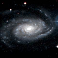 NGC 3338