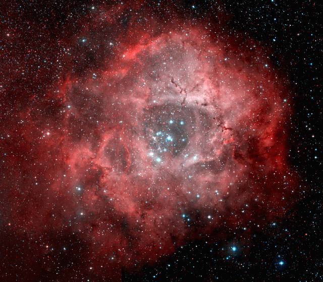 The Rosette Nebula