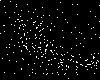 The Pavo-Indus Supercluster